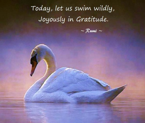 Gratitude and Forgiveness Rumi quote
