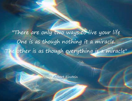 A Rebirth of exquisite beauty