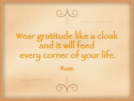 Gratitude and Abundance